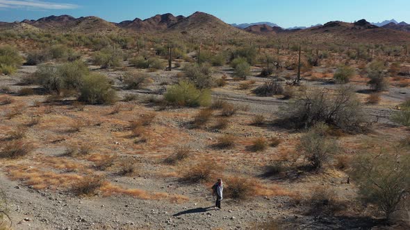 Lone desperado wanders through cacti and sagebrush - Arizona desert - Aerial