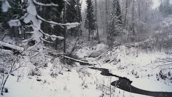 Snowy white forest landscape with stream in nature, long drone shot