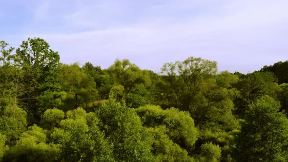 Meadows and Forests in the light of the setting Sun