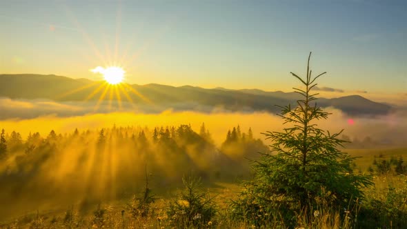 Misty Morning in the Mountains