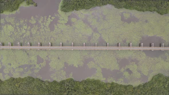 Aerial view of a bridge in countryside, Italy.