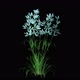 Bush Of Blue Flowers - VideoHive Item for Sale