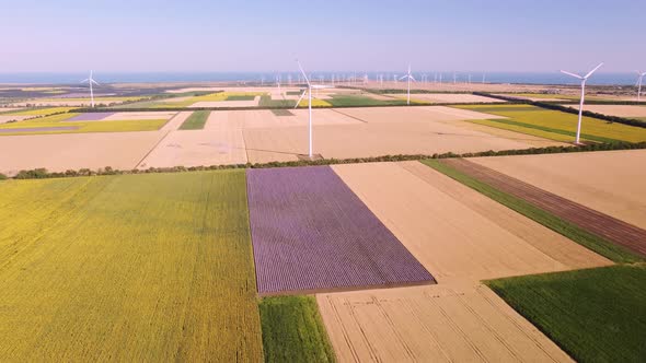 Aerial View of Wind Turbines and Agriculture Field Near the Sea at Sunset