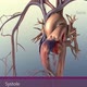 Systole causes the ejection of blood into the aorta and pulmonary trunk. - VideoHive Item for Sale