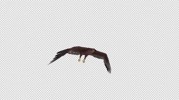 Tropical Kite - Flying Loop - Side Angle alt