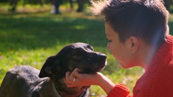 Close-up Dog Licks the Face of the Mistress