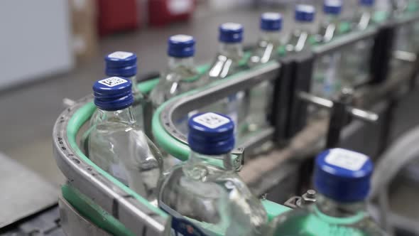 Row of Bottles with Vodka in Conveyor Belt in Factory Production Line. Factory for Bottling