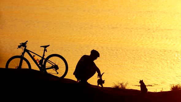 Male cyclist with cats on orange water background at sunset. Silhouette of a man sitting