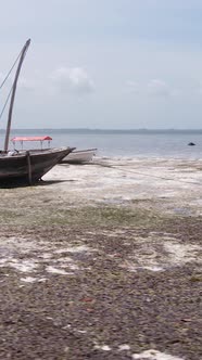 Tanzania  Vertical Video of Low Tide in the Ocean Near the Coast of Zanzibar Slow Motion