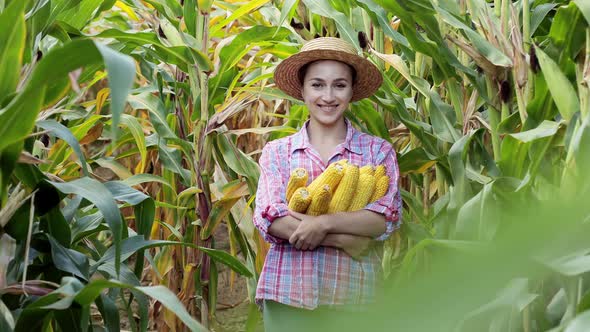 Farmer in the field. Satisfied with the harvest of sweet corn.