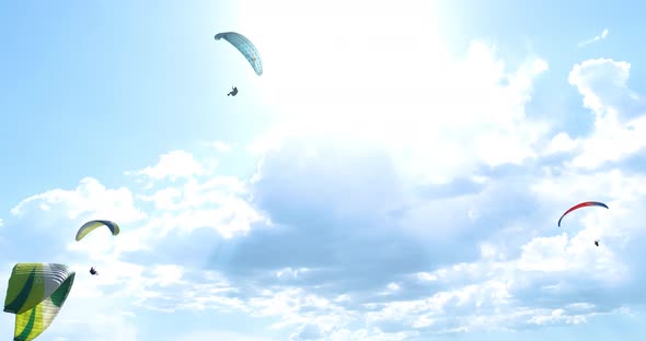 Flights with Paragliding