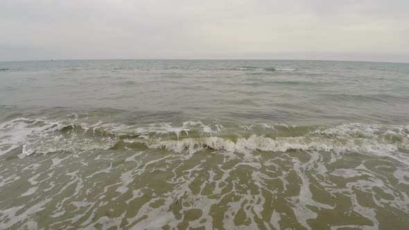 Aerial drone view above seashore polluted with seaweed, dirty water, ecology