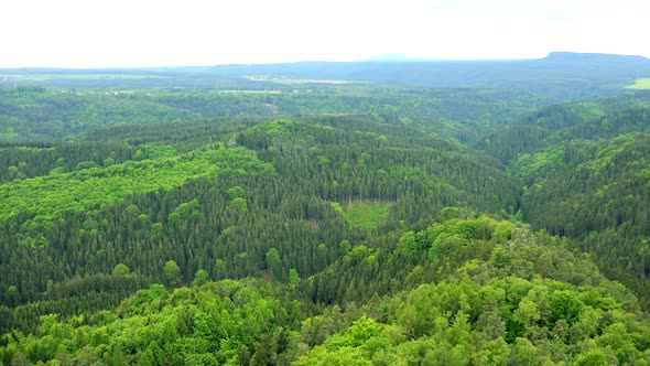 A Vast, Thick Forest Area, the Bright Sky in the Background - Top View