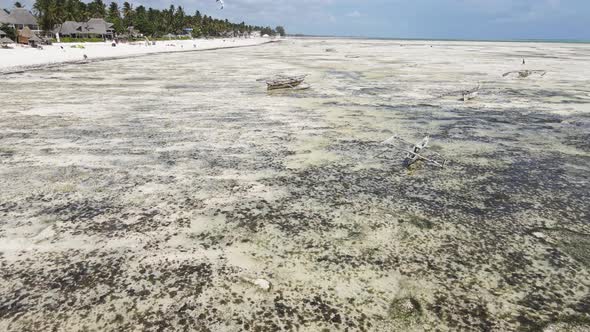 Zanzibar Tanzania  Aerial View of Low Tide in the Ocean Near the Coast