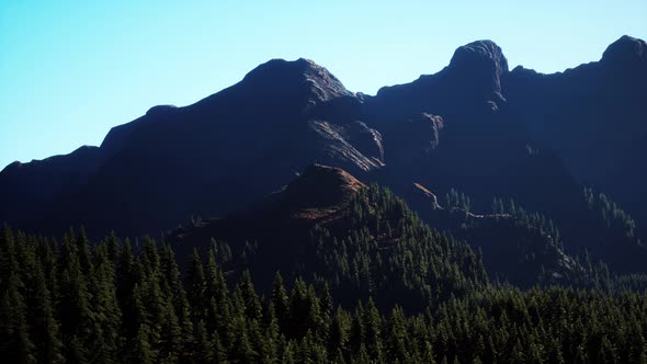 Wide Angle Shot of Mountains Landscape with Spring Forest