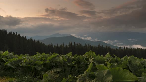 Epic Sunset Clouds with Sunbeams Over Mountain Landscape