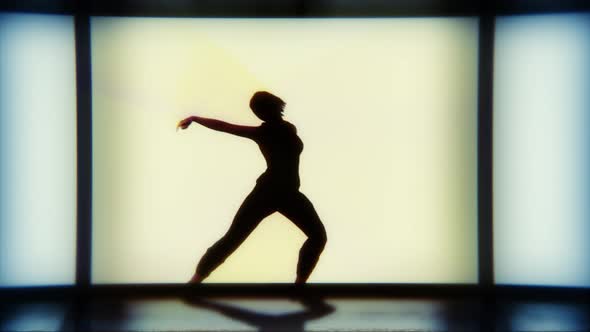 Silhouette Of A Dancing Hip Hop 3D Animation