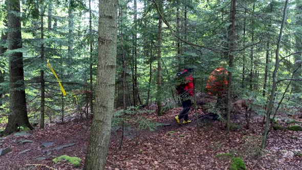 Hike Through Forest