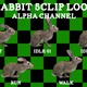 Rabbit 5Clip Loop - VideoHive Item for Sale