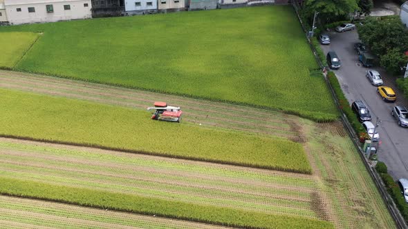 Aerial drone footage Cultivated rice paddy field, farmer harvesting the crops with multifunctional p