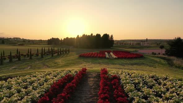 Scenic Landscape of Beautiful Summer Park Dobropark at Sunrise Motyzhyn Ukraine