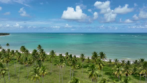 Northeast Brazil. Sao Miguel dos Milagres Beach at Alagoas Brazil.