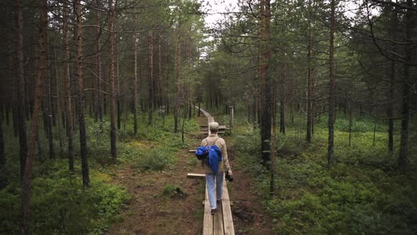 Back of young man with camera walking through forest on wooden walkway