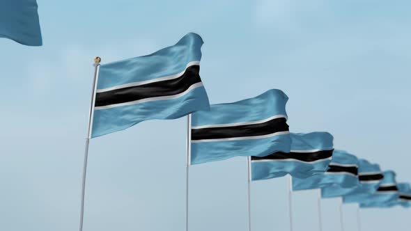 Botswana  Row Of Flags 