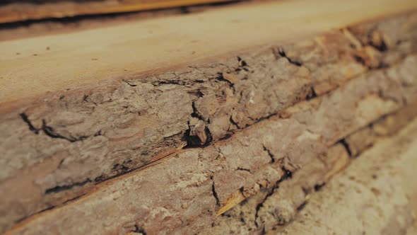 Wood Factory Stock and Lumber Board with Nature Business Export the Camera Moves Forward Slow Motion