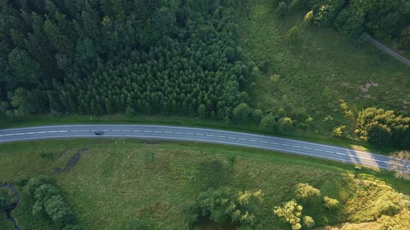 Car moving on road through pine tree forest, aerial view