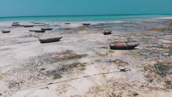 Lot of Fishing Boats Stuck in Sand Off Coast at Low Tide Zanzibar Aerial View
