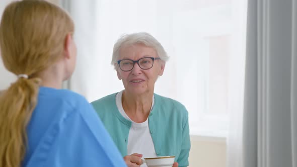 Cheerful single senior lady drinks fresh tea and talks to young nurse