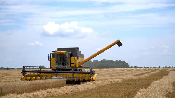 Harvester machine in yellow grain field.