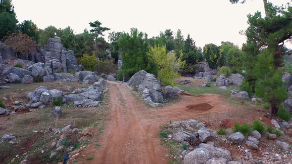 The Magnificent Panoramic View of the Park with Rock Formations and Evergreen Trees