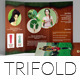 Trifold Brochure - GraphicRiver Item for Sale