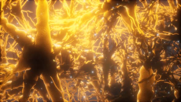 Journey Through a Neuron Cell Network Inside the Brain alt