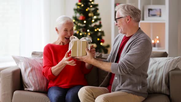 Happy Smiling Senior Couple with Christmas Gift