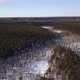 Aerial Flight Over the Winter Forest - VideoHive Item for Sale