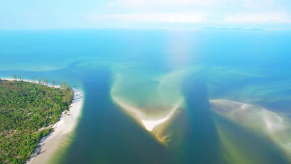 Aerial view of a mangrove forest at a tropical estuary