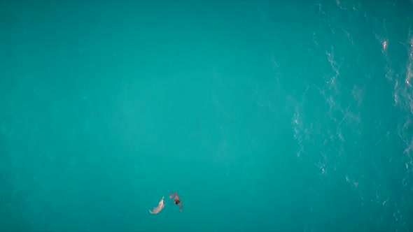 Aerial view of a man and a dog swimming in the sea in Greece.