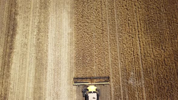 Looking down on a combine as it harvests corn then descending into the trailing dust plume - aerial