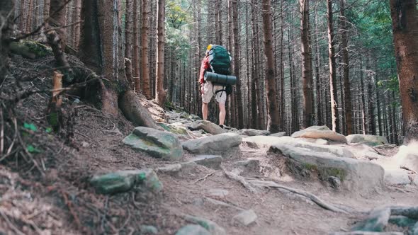 Tourist with a Backpack Walking Up Along the Stone Mountain Trail in the Forest