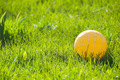 A yellow ball in the green grass - PhotoDune Item for Sale