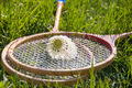 Tennis rackets and shuttlecock on the green grass - PhotoDune Item for Sale