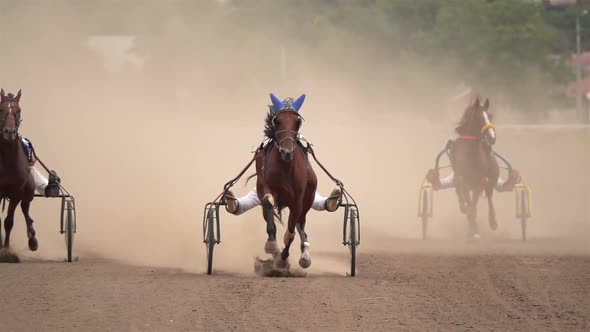 Horse Racing Of The Wagons