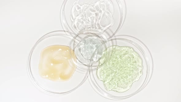 Rotation of Petri Dishes with Cosmetics Samples on a White Background