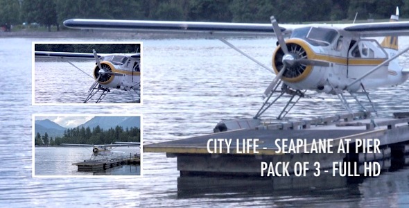City Life - Seaplane at Pier - Pack of 3
