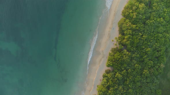 Aerial of beautiful coastline and green trees