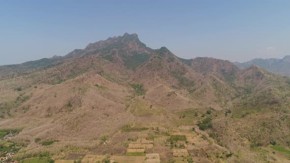 Agricultural Land in Indonesia