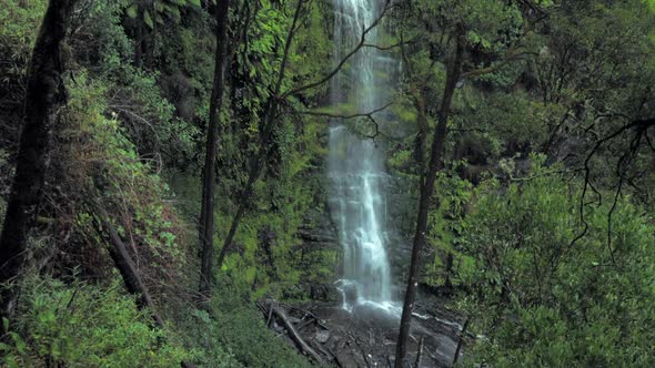 Erskine Falls located in the Otway's National Park rainforest in Australia. Water cascading down a r